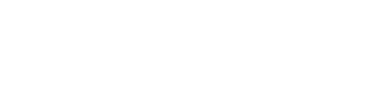 2. Ins curit PHYSIQUE